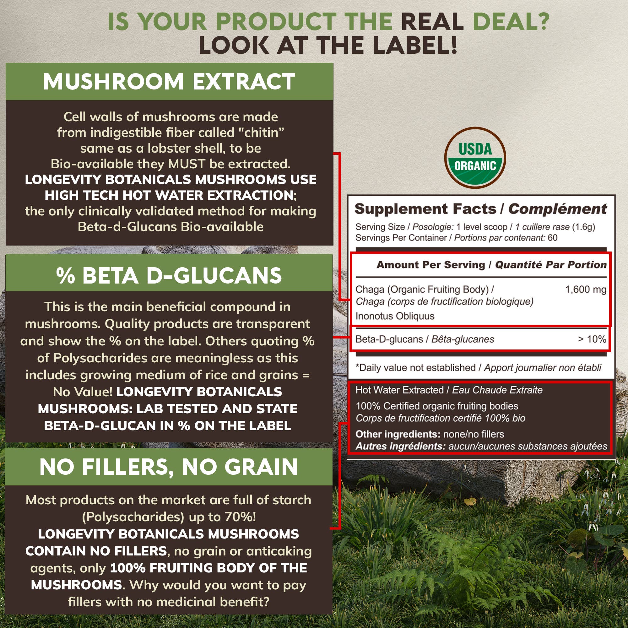 Longevity Botanicals - Organic Chaga Mushroom Extract Powder - 100g - Image 4